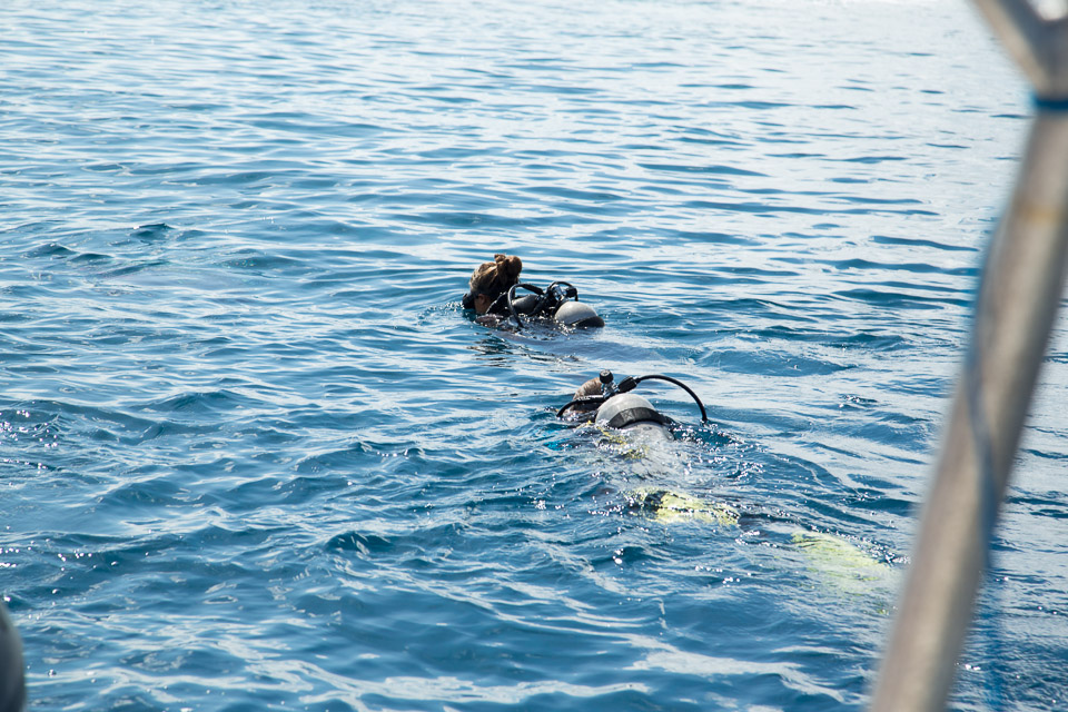 3L9A9150.jpg Tuamotu - Tikehau - Copyright : See Otherwise 2012 - 2025